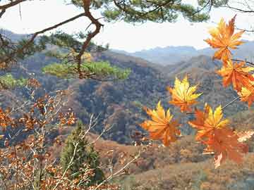 管家婆三十碼期期準(zhǔn),萬(wàn)斯對(duì)美國(guó)情報(bào)體系發(fā)出嚴(yán)重警告