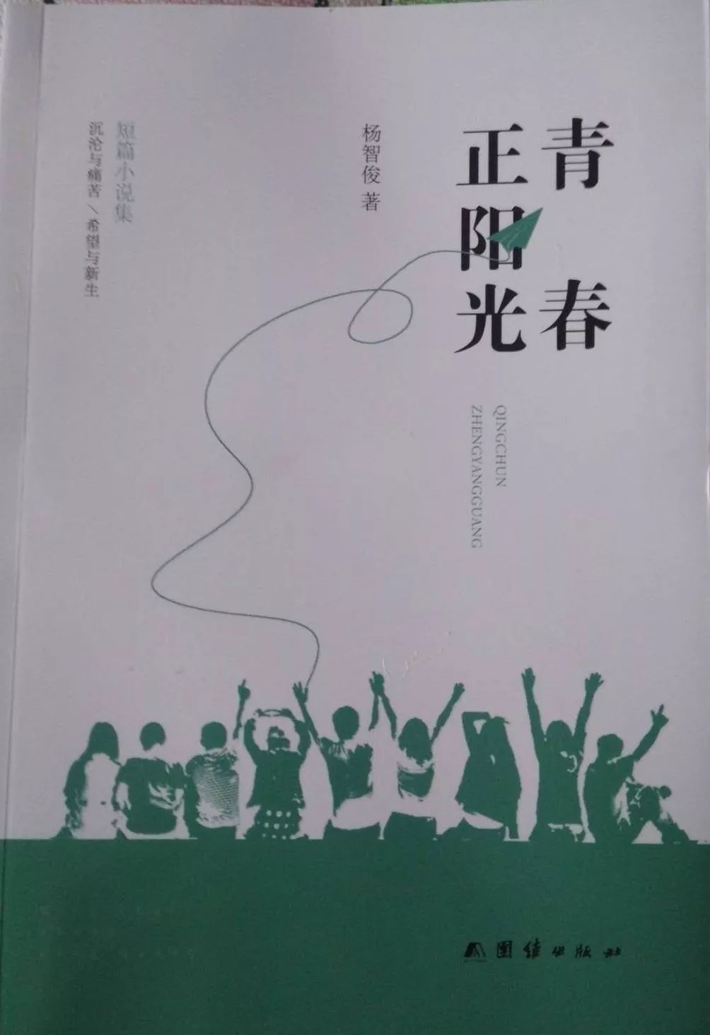 作家李鐵小說(shuō),作家李鐵小說(shuō)中的專業(yè)研究，解釋、定義與工具版的重要性,理論依據(jù)解釋定義_白版75.74.98