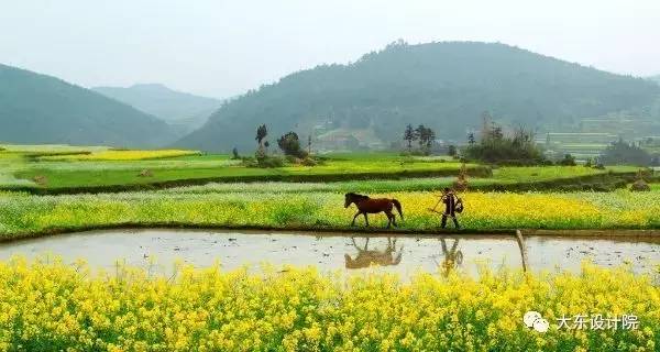 農(nóng)業(yè)農(nóng)村怎樣和旅游結(jié)合,農(nóng)業(yè)農(nóng)村與旅游結(jié)合的實(shí)踐執(zhí)行計(jì)劃，探索田園旅游新路徑,實(shí)踐策略設(shè)計(jì)_粉絲款60.21.64