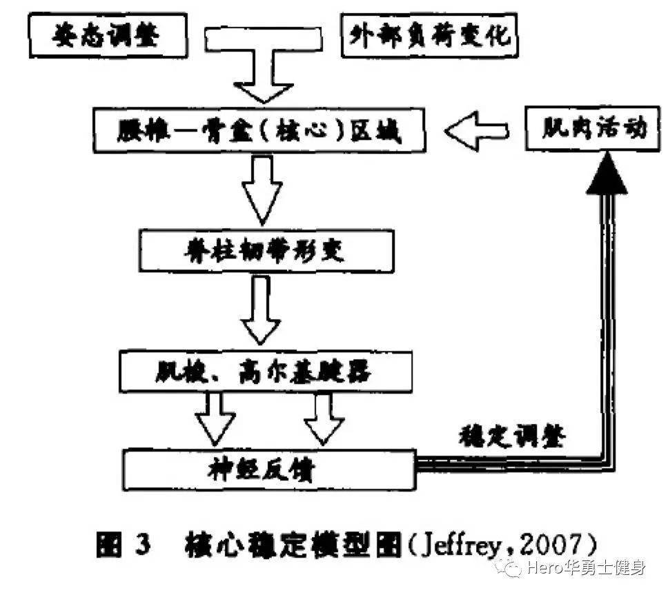 體育與體育科學的區(qū)別和聯(lián)系,體育與體育科學的區(qū)別和聯(lián)系，從定義到實踐經(jīng)驗解析,數(shù)據(jù)解析支持設計_十三行75.45.13