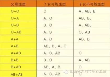 血型親子鑒定對(duì)照表,血型親子鑒定對(duì)照表與數(shù)據(jù)實(shí)施導(dǎo)向策略，經(jīng)典款詳解,數(shù)據(jù)導(dǎo)向設(shè)計(jì)解析_LT88.85.81