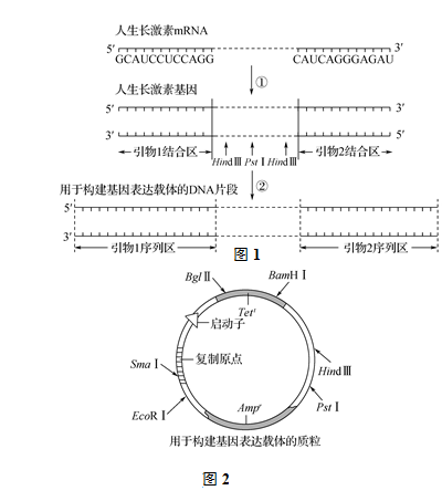 pcr擴(kuò)增儀使用步驟,PCR擴(kuò)增儀使用步驟與實(shí)地驗(yàn)證設(shè)計(jì)解析,專業(yè)分析解析說(shuō)明_app29.29.35