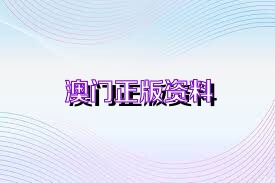 澳門精準(zhǔn)資料大全集,澳門精準(zhǔn)資料大全集與實(shí)效策略分析——專業(yè)款探索,穩(wěn)定性方案解析_LT41.46.45