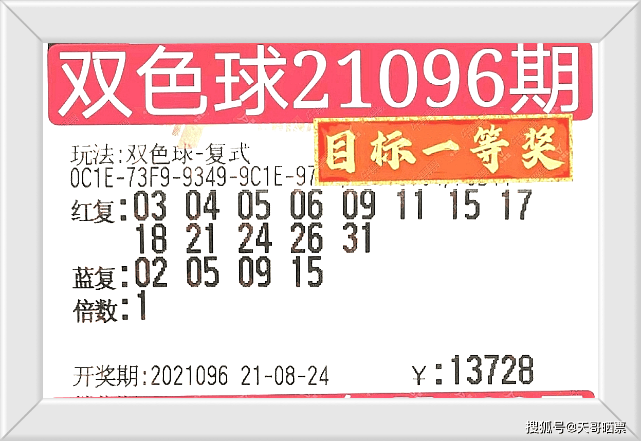 新奧門開獎結(jié)果2025香港,新奧門開獎結(jié)果2025香港，詮釋、說明與解析——版版67.79.88,實地分析數(shù)據(jù)應(yīng)用_pack26.17.23