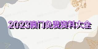 澳門內(nèi)部正版資料2023年資料,澳門內(nèi)部正版資料全面解析與規(guī)劃展望（2023年）,迅速設(shè)計解答方案_擴展版24.74.66