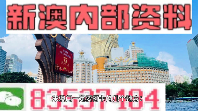 261新澳門內(nèi)幕資料,揭秘澳門內(nèi)幕，精細(xì)解析與創(chuàng)意展望——以澳門為靈感的故事探索,實(shí)地?cái)?shù)據(jù)驗(yàn)證實(shí)施_進(jìn)階版93.23.93