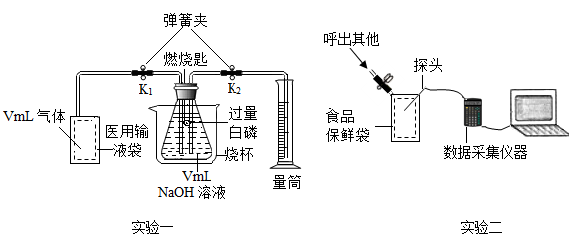 2024年12月21日 第2頁