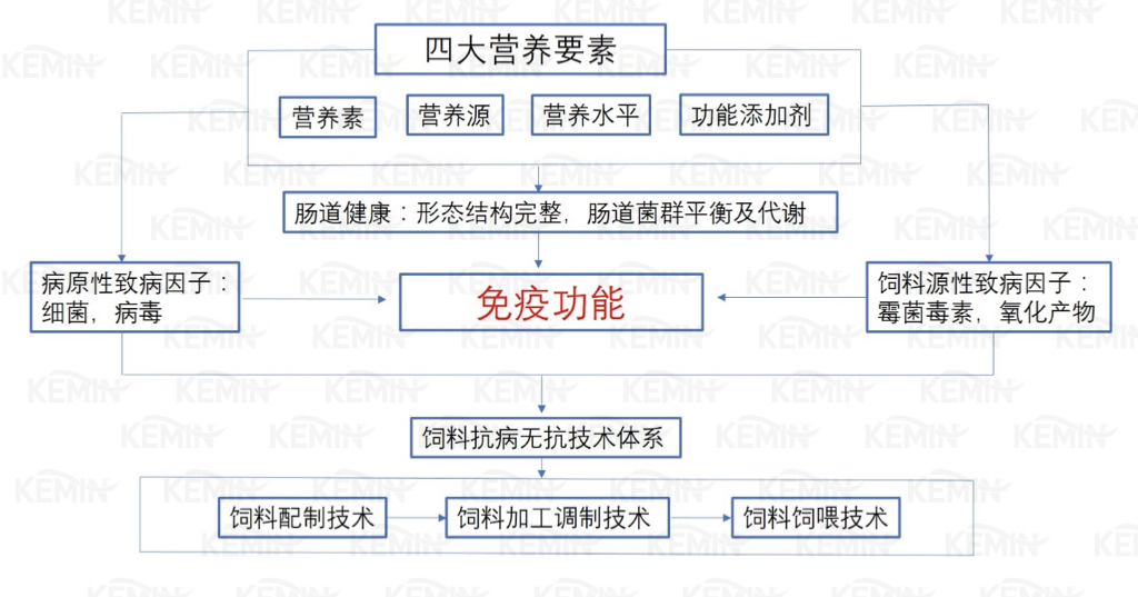 馬齒加長打一動物王中王,基于關鍵詞的創(chuàng)意設計與實施策略——以Harmony款51.30.23為中心,實地數(shù)據(jù)評估執(zhí)行_界面版16.28.60