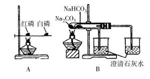 打夯機(jī)與壓鑄模材料哪個(gè)好,打夯機(jī)與壓鑄模材料對比及實(shí)效策略解析,資源實(shí)施方案_祝版51.35.77