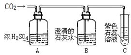 2024年12月22日 第11頁