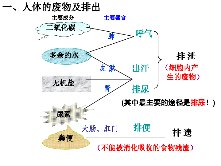 化工廢料對人體的傷害,化工廢料對人體的傷害，實時解析說明,完整的執(zhí)行系統(tǒng)評估_版畫38.50.27