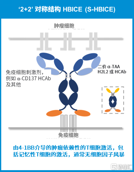 新澳2025今晚開獎資料,新澳2025未來開獎數據分析與精選解析手冊,創(chuàng)新解析執(zhí)行_HarmonyOS46.48.91