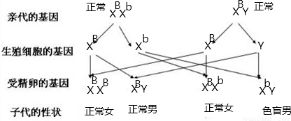 毛絨織物,毛絨織物，從實(shí)證研究的視角解析說(shuō)明,精準(zhǔn)解答解釋定義_UHD版74.22.29