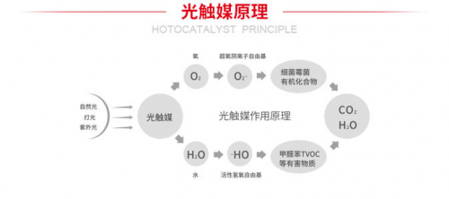 光觸媒噴墻上會(huì)脫落嗎,光觸媒在墻上的應(yīng)用，是否會(huì)脫落？定義與定量解答解釋,互動(dòng)策略解析_Premium44.76.94