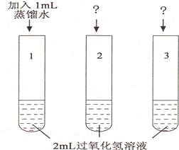 熱熔膠與色譜襯管污染的關(guān)系,熱熔膠與色譜襯管污染的關(guān)系，探究與迅速解答問(wèn)題,快速方案執(zhí)行指南_Harmony款25.99.96