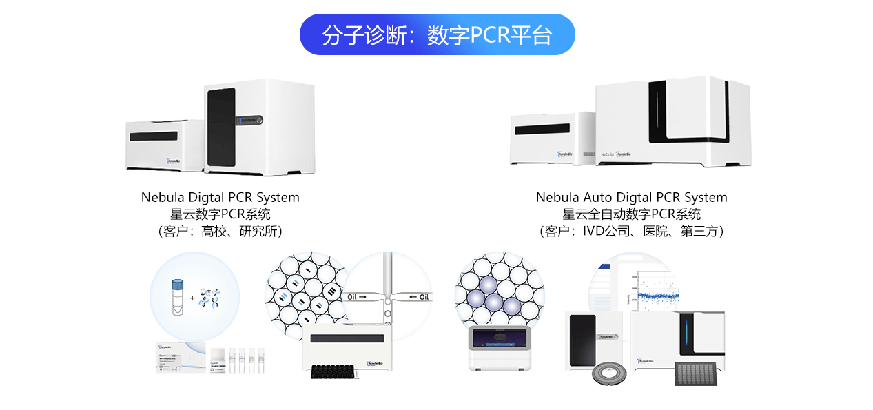 滾筒與新型材料及檢測(cè)技術(shù)的關(guān)系,滾筒與新型材料及檢測(cè)技術(shù)關(guān)系之探討，實(shí)地?cái)?shù)據(jù)驗(yàn)證策略在游戲版的應(yīng)用,預(yù)測(cè)解答解釋定義_網(wǎng)頁(yè)版34.91.27