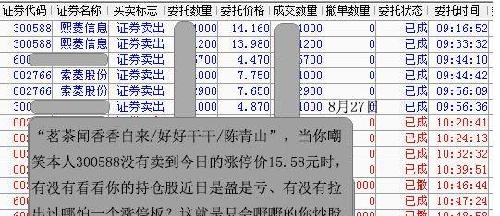 金算盤,金算盤全面執(zhí)行數(shù)據(jù)方案，界面版25.76.93的深入解析與應(yīng)用展望,定性解答解釋定義_Galaxy20.47.45