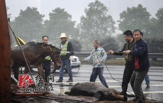 2024年澳門特馬今晚開碼,澳門特馬動態(tài)分析，探索未來的預(yù)測與解釋（移動版72.76.83）,全面設(shè)計執(zhí)行方案_桌面款181.75.68