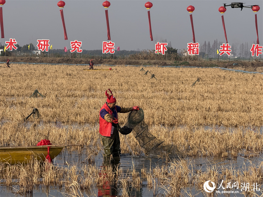 是的，湖北潛江的冬蝦已經(jīng)開始搶鮮上市。潛江是一個(gè)水產(chǎn)養(yǎng)殖大市，小龍蝦產(chǎn)業(yè)是其特色產(chǎn)業(yè)之一，而冬蝦作為小龍蝦中的一種，也備受關(guān)注。隨著天氣逐漸降溫，冬蝦的生長(zhǎng)速度逐漸減緩，但潛江的養(yǎng)殖戶們已經(jīng)開始積極捕撈和銷售冬蝦，以滿足市場(chǎng)需求。由于冬蝦肉質(zhì)鮮美，受到消費(fèi)者的喜愛(ài)，因此價(jià)格也相對(duì)較高。此外，潛江的小龍蝦產(chǎn)業(yè)鏈已經(jīng)相當(dāng)成熟，從養(yǎng)殖到銷售再到深加工，都已經(jīng)形成了一套完整的體系。因此，潛江的冬蝦搶鮮上市，不僅滿足了市場(chǎng)需求，也為當(dāng)?shù)亟?jīng)濟(jì)發(fā)展帶來(lái)了不小的貢獻(xiàn)。