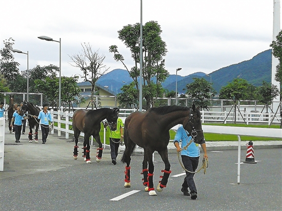 香港賽馬