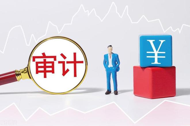 農村學生營養(yǎng)餐問題整改金額超40億元