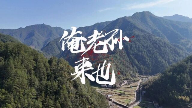 浙江一地50多只野猴下山偷菜