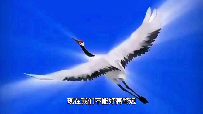 4449999火鳳凰玄機(jī)雙目了下一句