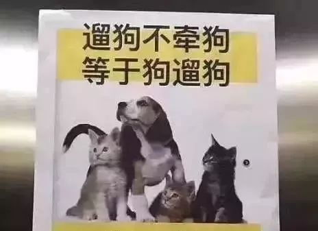 制止4條大型犬咬人男子系飼養(yǎng)員