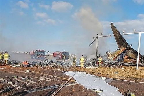 阿航空難因客機(jī)遭地面攻擊