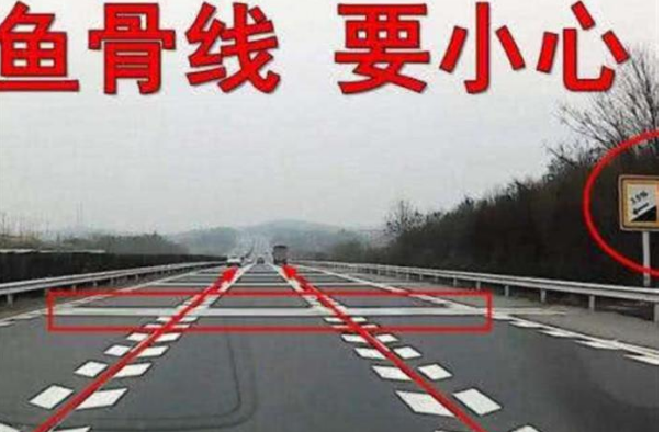 道路立桿上攝像頭密集？交警通報(bào)