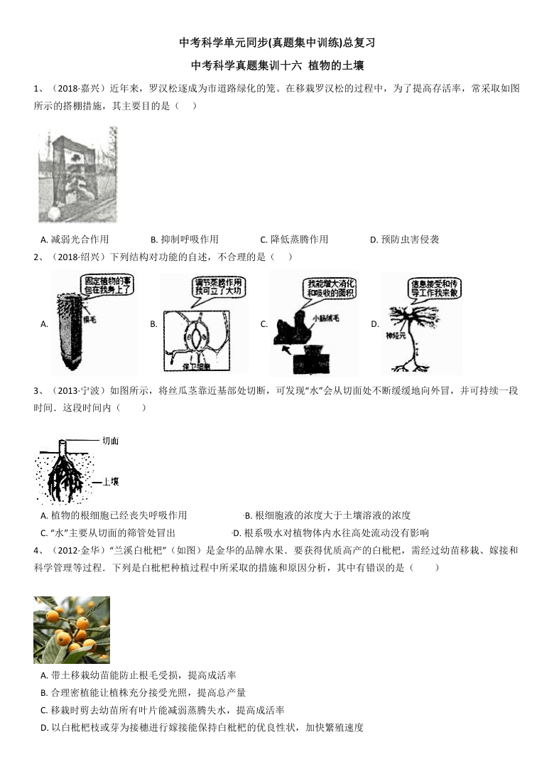 小魚兒玄機(jī)2,科學(xué)解析評估_專屬款21.67.40