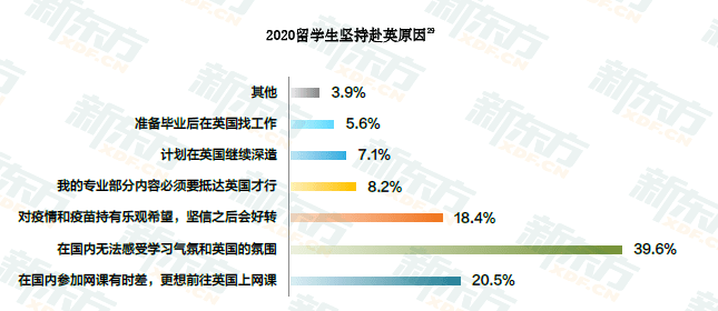 2025年港彩開獎(jiǎng)結(jié)果查詢,羅馬尼亞留學(xué)生謝娜的中國(guó)年