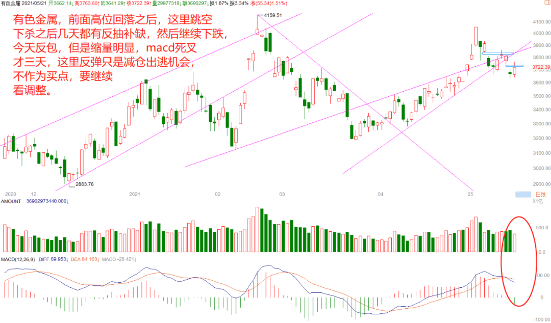 2025新澳門免費開獎結果查詢,看完唐探1900在美國市政廳蹦迪