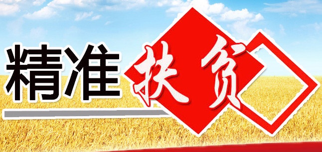 澳門精準資料免費公開2025,國臺辦：歡迎臺灣鄉(xiāng)親尋根謁祖