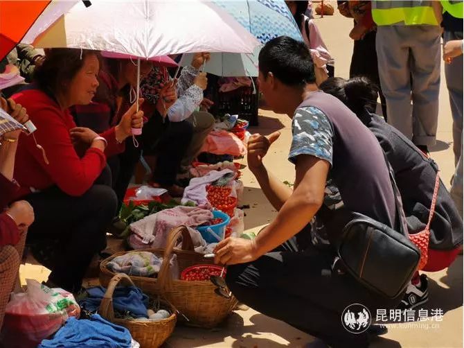 查一下今晚開(kāi)什么特馬,三亞西島大量游客滯留高喊退票