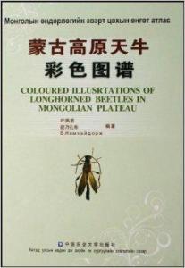 天牛圖庫3d天牛圖庫彩吧彩,特朗普回應(yīng)與馬斯克“罕見分歧”