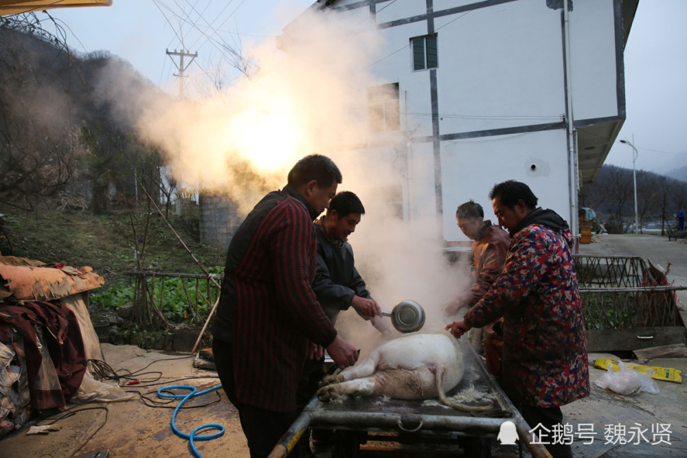 2025年澳門(mén)彩開(kāi)獎(jiǎng)結(jié)果查詢,侗族老鄉(xiāng)殺年豬喊你吃“刨湯”