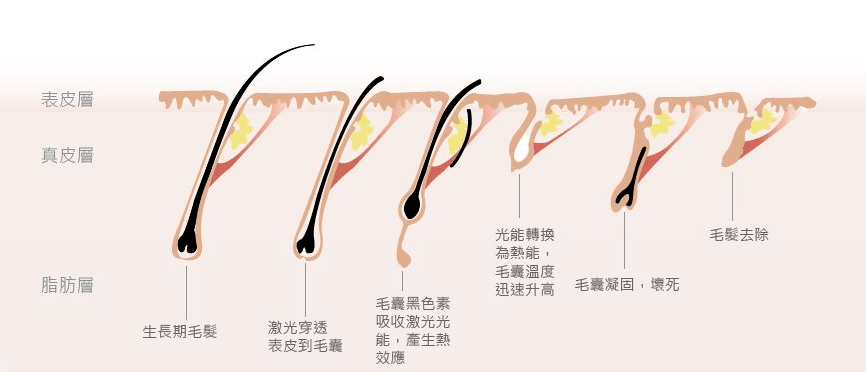 沒牙齒的是什么生肖,“減重”醫(yī)生42天減重近50斤